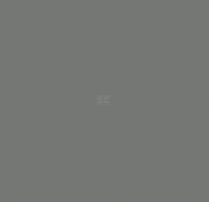 Vopsea gri fier RAL 7011 400ml