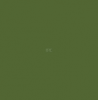 606004KR Spray vopsea verde Amazone 400ml