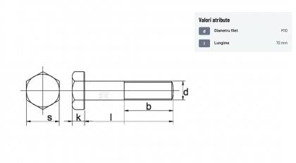 9311070P001 Surub M10x70