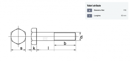 9311660P001 Surub M16x60