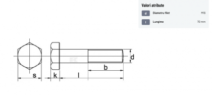 9311670P001 Surub M16x70