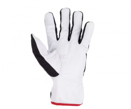 KG0101512 Manusi  12/XXXL